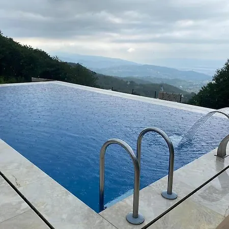Kocaeli'nde Koerfez Manzarali Dogayla Basbasa Tatil Villa *