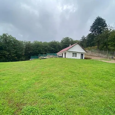 Villa Kocaeli'nde Koerfez Manzarali Dogayla Basbasa Tatil *