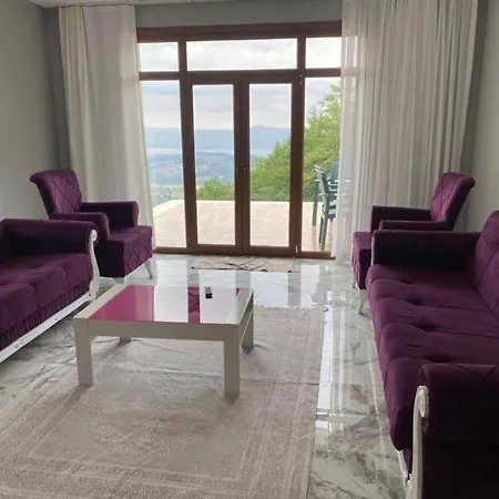 Kocaeli'nde Koerfez Manzarali Dogayla Basbasa Tatil Villa
