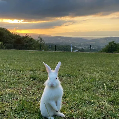 Вилла Kocaeli'nde Koerfez Manzarali Dogayla Basbasa Tatil *