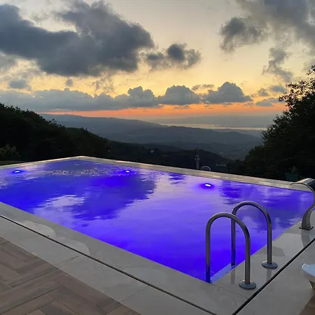Kocaeli'nde Koerfez Manzarali Dogayla Basbasa Tatil Villa *